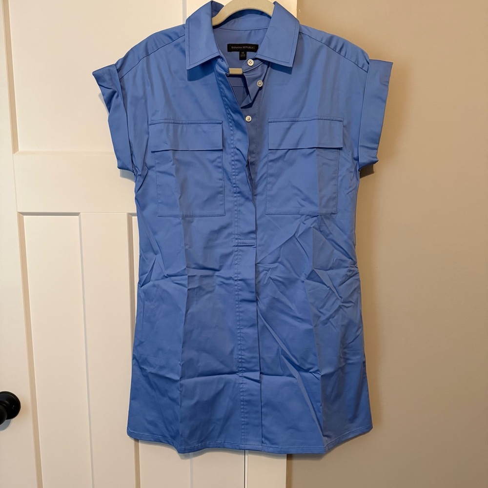 Banana Republic Light Blue Collared Button Shirt